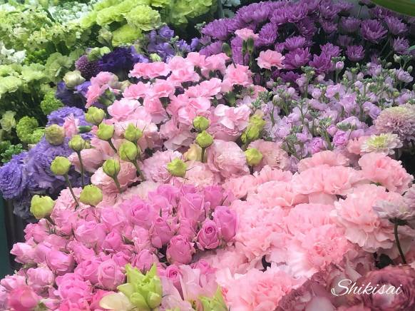 「四季彩」　（北海道旭川市）の花屋店舗写真3